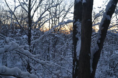 DSC_0279.JPG