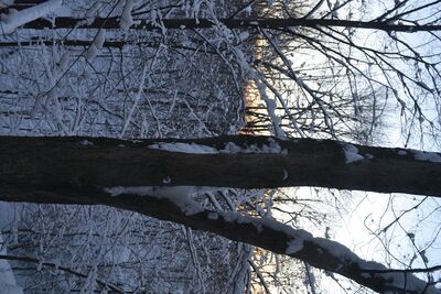 DSC_0281.JPG
