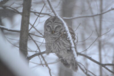 DSC_0283.JPG