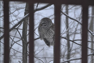 DSC_0284.JPG