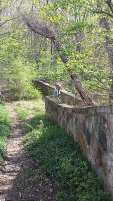 20150503_165949.jpg