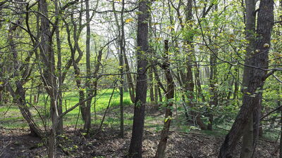 20150503_165829.jpg