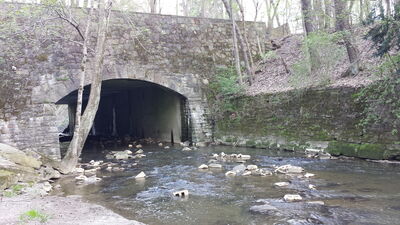 20150503_170358.jpg