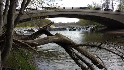 20150503_173053.jpg