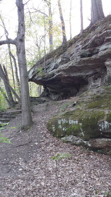 20150503_180419.jpg