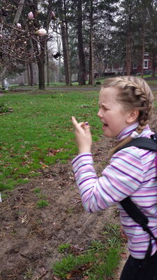 20150417_084835.jpg