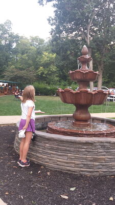 20150823_195620.jpg