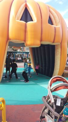 20150926_164039.jpg