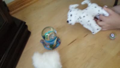 Video