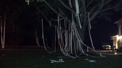 20150620_235504.jpg