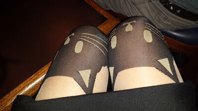 20150926_214700.jpg