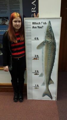 20150314_142012.jpg