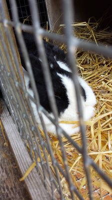 20150711_151150.jpg
