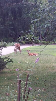 20150812_182430.jpg