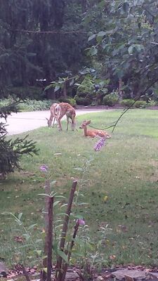 20150812_182454.jpg