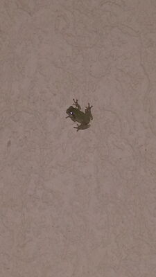 20150821_230536.jpg