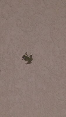 20150821_230557.jpg