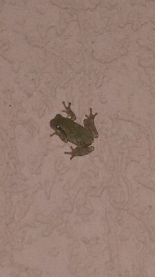 20150821_230608.jpg