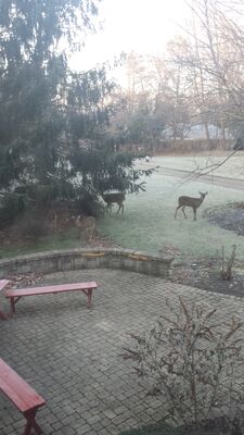 20160202_080038.jpg