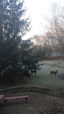20160202_080044.jpg