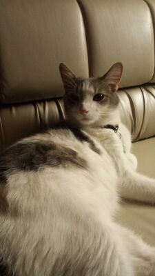 20150815_234744.jpg