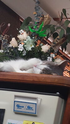 20150816_121124.jpg