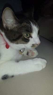20150906_161539.jpg