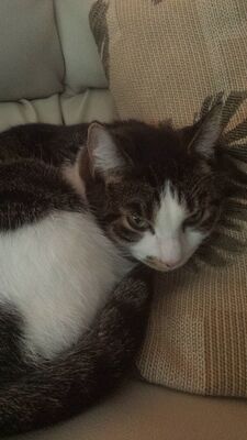 20151024_160719.jpg