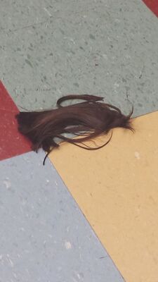 20150507_182242.jpg