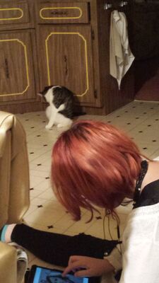 20151126_225936.jpg