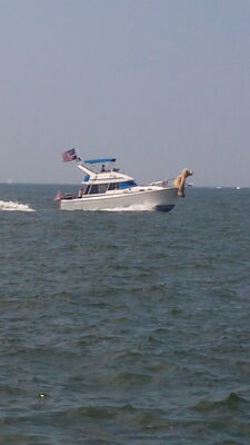 20150907_144953.jpg