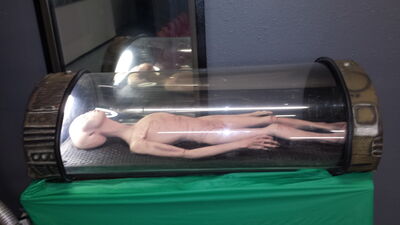 20150908_101848.jpg