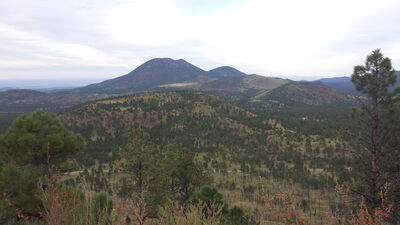 20150909_180552.jpg