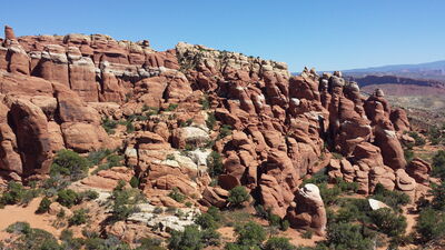 20150911_141156.jpg