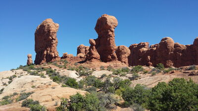 20150911_152745.jpg