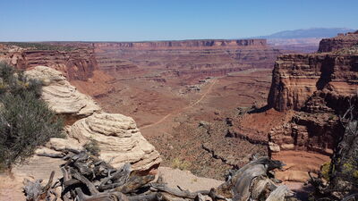20150912_140831.jpg