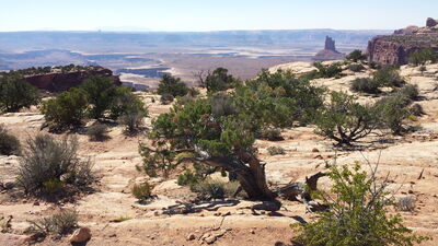 20150912_151326.jpg