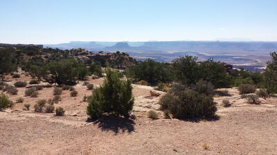 20150912_151419.jpg