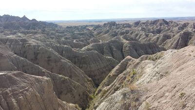 20150917_103337.jpg