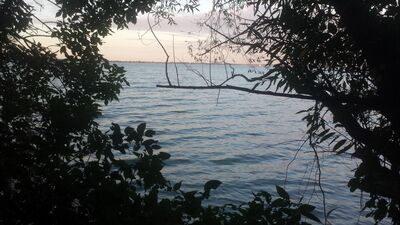 20150917_191032.jpg
