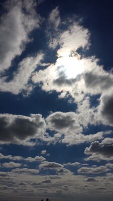 20150927_152809.jpg