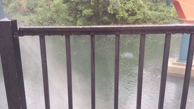 20150712_174530.jpg