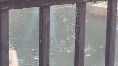 20150712_174603.jpg