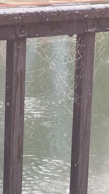 20150712_174621.jpg