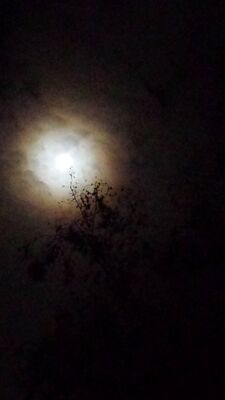 20150926_234926.jpg