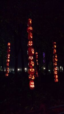 20151024_224516.jpg