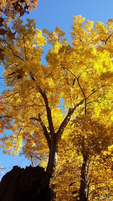 20151025_165125.jpg
