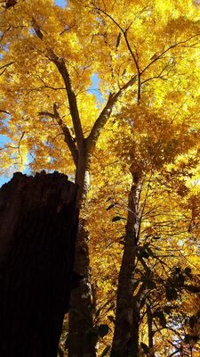 20151025_165153.jpg