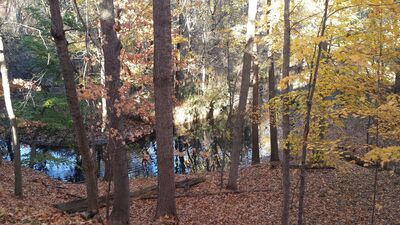 20151025_165220.jpg