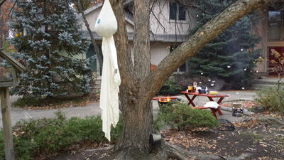 20151031_181127.jpg